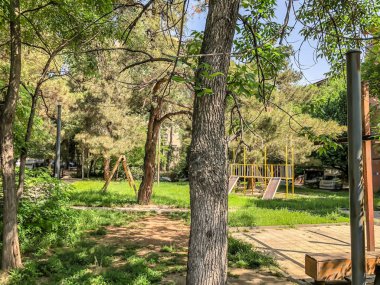 Ahşap banklar ve Şehir Parkı ağaçlarda çiçeği. Şehrin ilkbaharda. Çocuk Bahçesi oyunlar için.