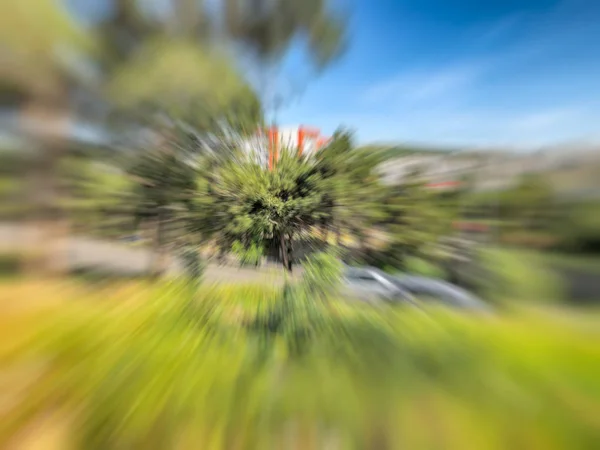 Árboles borrosos de primavera. Efecto de desenfoque de movimiento abstracto . —  Fotos de Stock