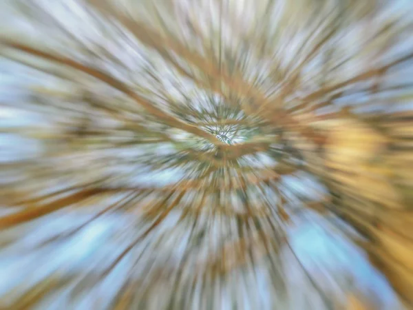 Θολή δέντρο την άνοιξη. Αφηρημένη motion blur επίδραση. — Φωτογραφία Αρχείου