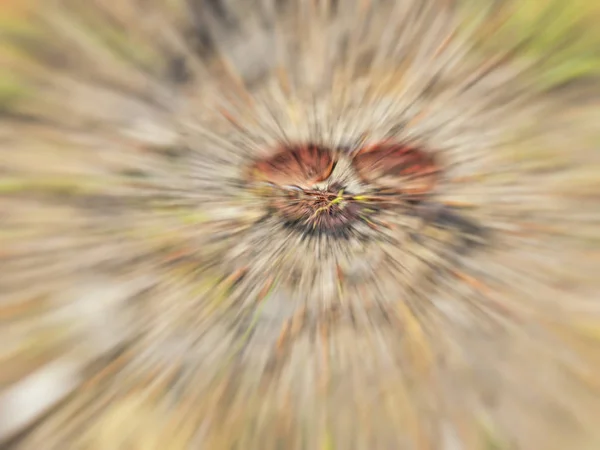 Θολή sunglases στο έδαφος. Αφηρημένη motion blur επίδραση. — Φωτογραφία Αρχείου