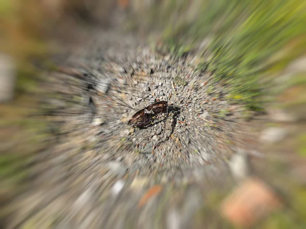 Óculos de sol desfocados no chão. Abstrato efeito borrão movimento — Fotografia de Stock