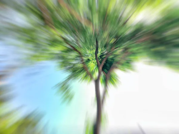 Tavaszi homályos fa. Absztrakt motion blur effekt. — Stock Fotó