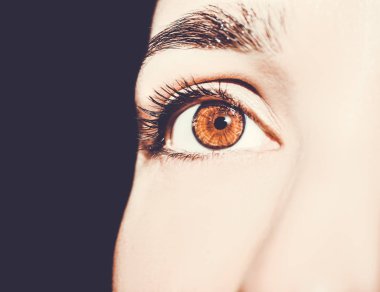 Güzel, anlayışlı bir bakış. Yakın çekim..