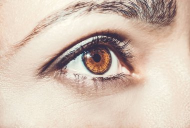 Güzel, anlayışlı bir bakış. Yakın çekim..