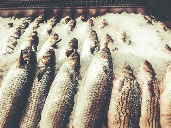 Ryby schłodzone na lodzie na rynku — Zdjęcie stockowe