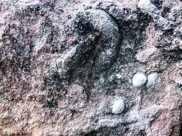 Nahaufnahme der Natursteinmauer. Textur der Steinmauer — Stockfoto