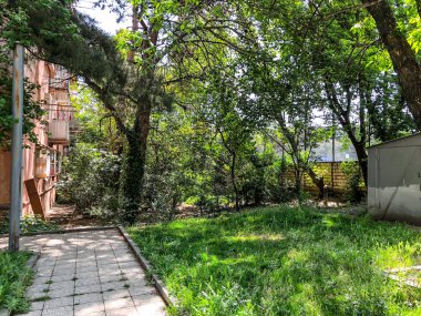 Avlunun Konut Binası yakınındaki çiçeği ağaçlarda. Şehrin ilkbaharda. 