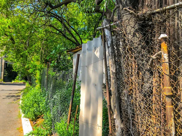 Alberi di fiori verdi e piante nel cortile della città in giorno soleggiato. Colpo da vicino — Foto Stock