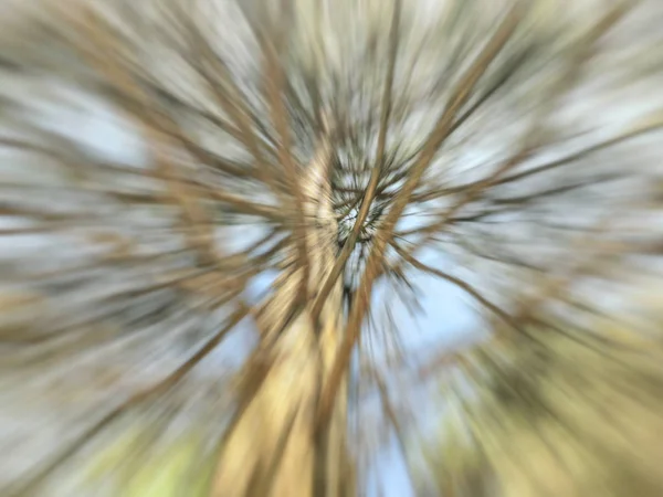 Árvore borrada de primavera. Abstrato efeito borrão movimento . — Fotografia de Stock
