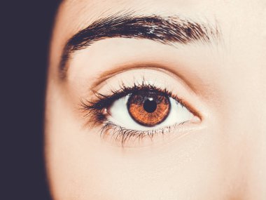 Güzel, anlayışlı bir bakış. Yakın çekim..