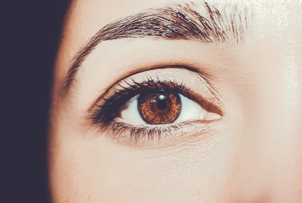 Güzel, anlayışlı bir bakış. Yakın çekim..