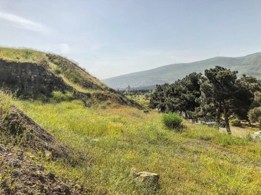 Gökyüzü güzel çam yolun yakınlarında. Yaprak dökmeyen ağaçlar atış kapatmak