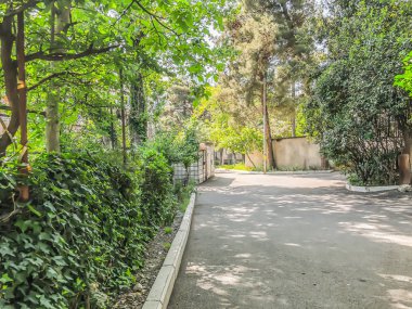 Yeşil ağaçlar, çalılar ve bitkiler suny gün şehir bahçesinde. Atış kapatın.