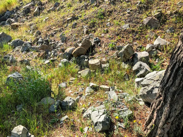 大石头, 铺石在地上, 绿草靠近道路。特写镜头. — 图库照片