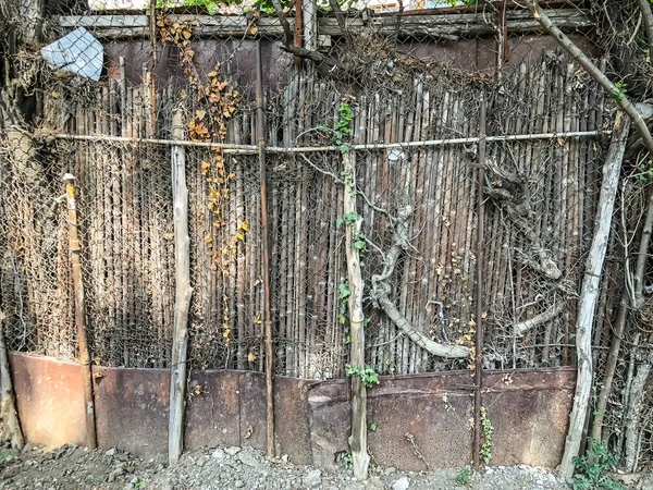 Rete metallica e recinzione in legno con un wicket ricoperto di cespugli di edera, alberi arrotondati nel cortile — Foto Stock