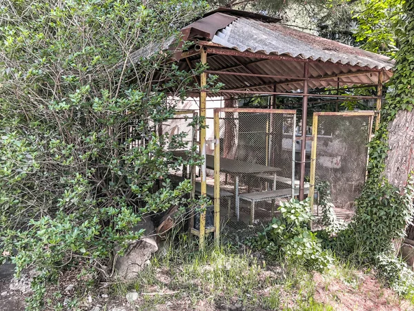 Arbor bir demir hedge tarafından çevrili bir konut binası avlusunda