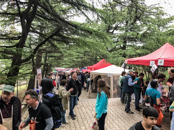 Tiflis, Gürcistan - 12 Mayıs 2018: Gürcüce Festivali şarap ve şarap füniküler Tiflis, Gürcistan'daki üzerinde Mtatsminda Park yapımı.