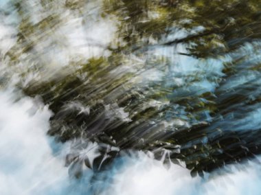 Soyut hareket bulanıklığı etkisi. Bulanık ağaç bahar