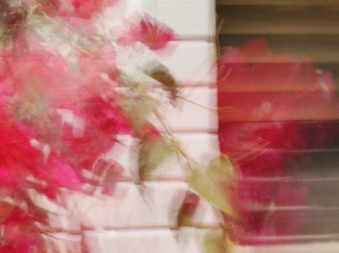 Bahar çiçekleri bulanık. Soyut hareket bulanıklığı etkisi