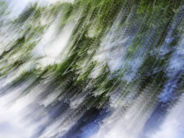 Abstrakte Bewegungsunschärfewirkung. Frühling verschwommener Baum — Stockfoto