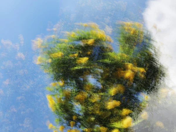 Flores borrosas de primavera. Efecto de desenfoque de movimiento abstracto —  Fotos de Stock