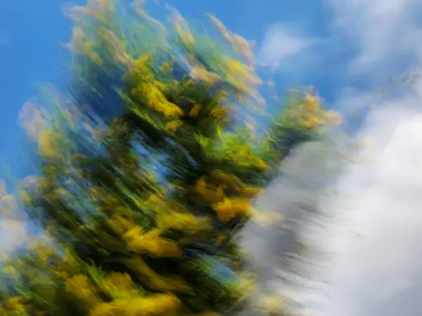 Flores borradas de primavera. Abstrato efeito borrão movimento — Fotografia de Stock