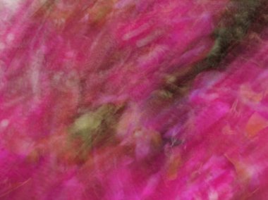 Bahar çiçekleri bulanık. Soyut hareket bulanıklığı etkisi