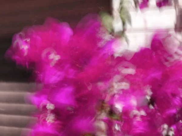 Θολή λουλούδια την άνοιξη. Αφηρημένη motion blur επίδραση — Φωτογραφία Αρχείου