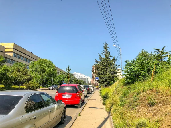 TBILISI, GEORGIA - - 17 DE MAYO DE 2018: Vista de los árboles de flores y pinos, coches en la carretera. Primavera en la ciudad —  Fotos de Stock