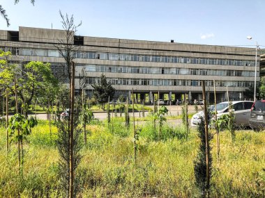 Tiflis, Gürcistan--17 Mayıs 2018: Ivane Javakhishvili Tiflis Devlet Üniversitesi binasının görünümü. Şehir ilkbaharda