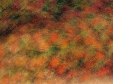 Bahar çiçekleri bulanık. Soyut hareket bulanıklığı etkisi