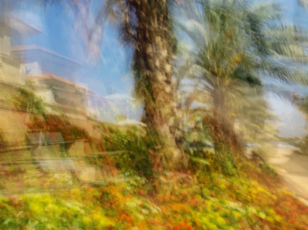 Spring blurred flowers and palms. Abstract motion blur effect — Stock Photo, Image