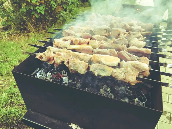 Mcvadi - shashlik preparing on a barbecue grill over charcoal. Roasted stacked meat traditional cuisine in Georgia — Stock Photo, Image