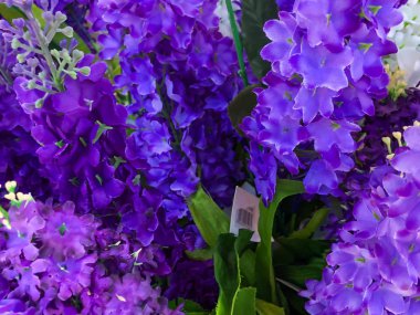 Çiçekler çok güzel arka plan tasarım ve dekorasyon için. Şirin çiçekler herhangi bir arka plan için