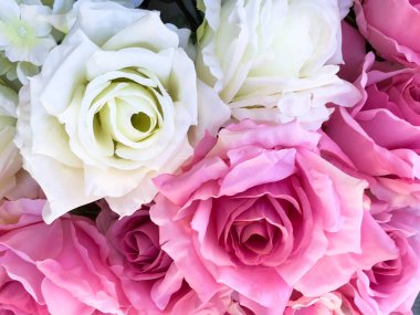 Çiçekler çok güzel arka plan tasarım ve dekorasyon için. Şirin çiçekler herhangi bir arka plan için