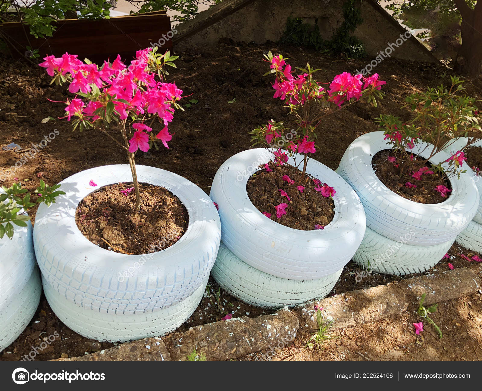 Flowerbed of old tires Flowerbed of old tires