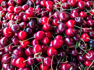 Olgun Bahçe Kırmızı Kiraz. Meyve, vitaminler. Yaz sağlıklı gıda