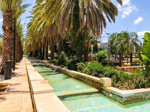 Muchas palmeras en el parque Gan Ha 'ir en Rishon Le Zion, Israel —  Fotos de Stock