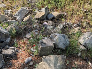 Büyük kayalar, yeşil çimenlerin üzerinde kaldırım taşları yolun yakınlarında. Atış kapatın.