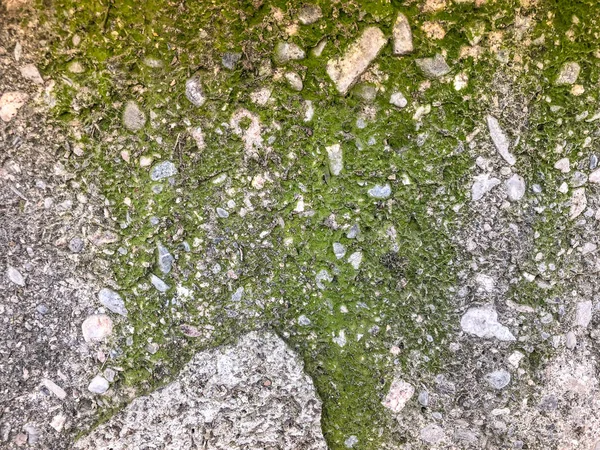 A textúra egy meglazult betonfal moha. Lövés közelről — Stock Fotó