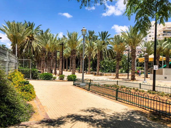 Rishon Le Zion, Israil-Haziran 18, 2018: Gan ha 'Ir Park 'da bir çok palmiye ağaçları Rishon Le Zion, Israil