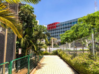  Rishon Le Zion, İsrail - 18 Haziran 2018: Rishon Le Zion, İsrail central Park'ta görünümünü
