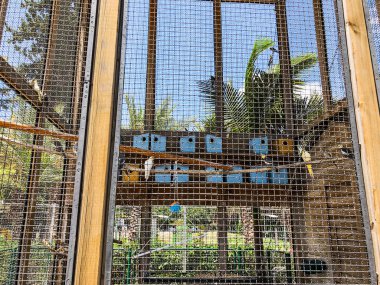 Bir büyük kuş sığınak ya da kuş kafesi central Park Rishon Le Zion, İsrail.