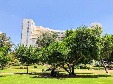  Rishon Le Zion, İsrail - 18 Haziran 2018: Rishon Le Zion, İsrail central Park'ta görünümünü