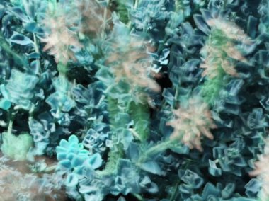 Soyut hareket bulanıklığı etkisi. Bulanık çiçekler bahar.