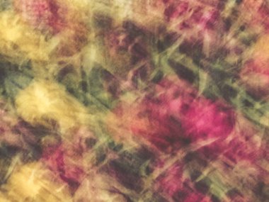 Bahar çiçekleri bulanık. Soyut hareket bulanıklığı etkisi