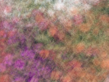 Bahar çiçekleri bulanık. Soyut hareket bulanıklığı etkisi