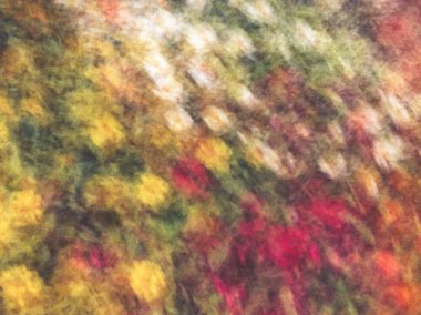 Bahar çiçekleri bulanık. Soyut hareket bulanıklığı etkisi