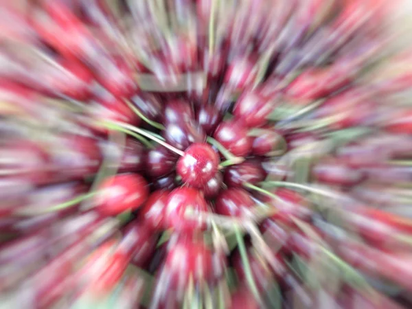 Efeito de movimento cereja vermelha jardim maduro. Frutas, vitaminas. Verão comida saudável — Fotografia de Stock