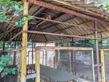 Arbor bir demir hedge tarafından çevrili bir konut binası avlusunda